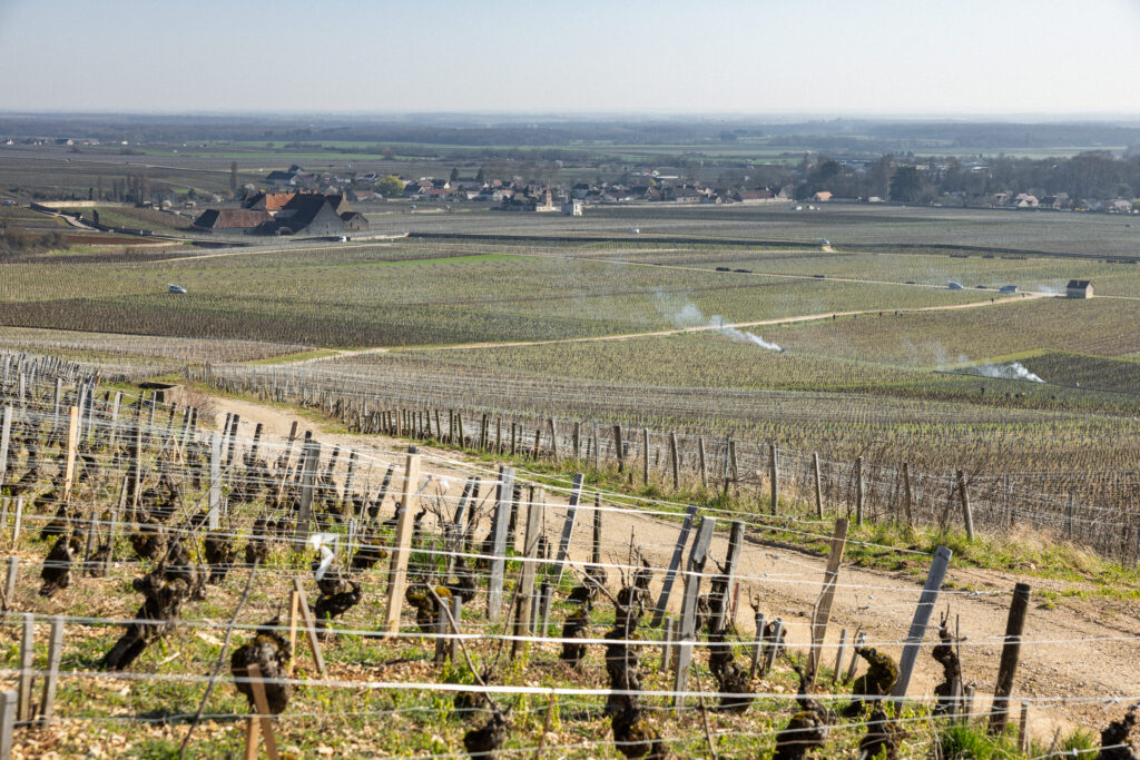 Vieilles vignes et paysage viticole autour de Flagey-Échezeaux en Bourgogne