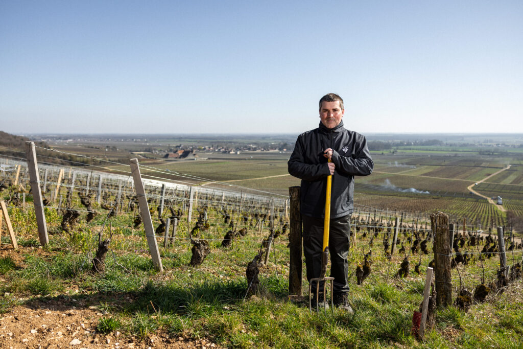 Vigneron du Domaine Desaunay-Bissey au milieu des vieilles vignes à Flagey-Échezeaux